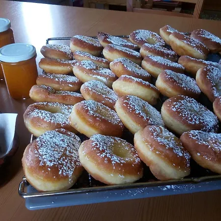 Alte Schule לינה וארוחת בוקר באד קליניקירשהיים