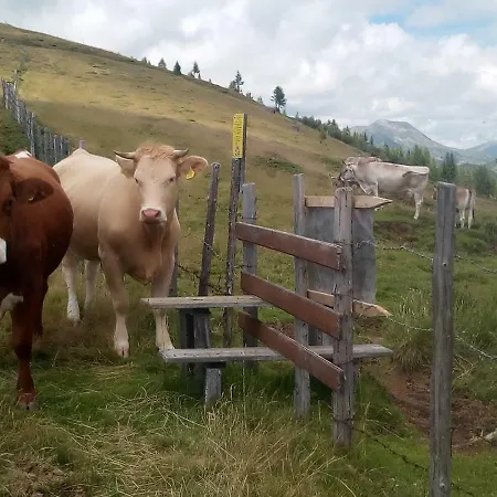 לינה וארוחת בוקר Alte Schule באד קליניקירשהיים