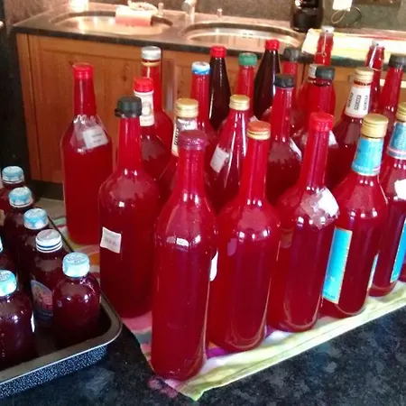 לינה וארוחת בוקר Alte Schule 3*